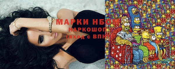 МДПВ Инсар