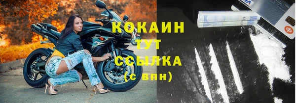 МДПВ Инсар