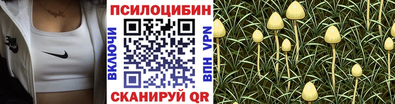 Галлюциногенные грибы мухоморы  Мытищи 